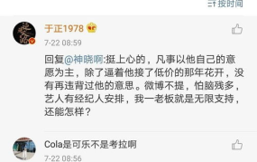 娱乐圈吃瓜被告,被告如何应对舆论压力