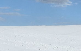 娱乐吃瓜洲,揭秘娱乐圈背后的那些事儿