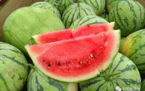 甜的娱乐吃瓜,揭秘娱乐圈甜蜜瓜皮背后的故事