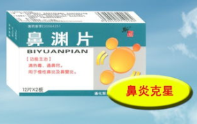 医药厂家招商,医药厂家招商策略与市场拓展全攻略